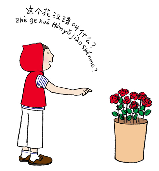 この花は中国語で何と言いますか 赤ずきんの中国語イラスト単語帳 語学学習コミュニティ ゴガクル中国語