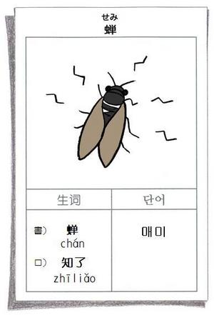 cicada96.jpg