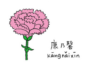 kangnaixin5colored.jpg