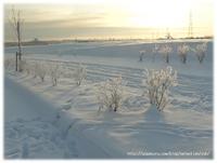 20081230-snow.jpg