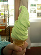 20110509ice1.jpg