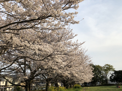 薔薇のルサンチマンさんのおぼえた日記 21年3月27日 土 語学学習コミュニティ ゴガクル